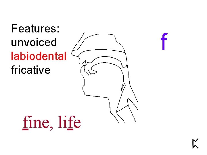 Features: unvoiced labiodental fricative fine, life f 