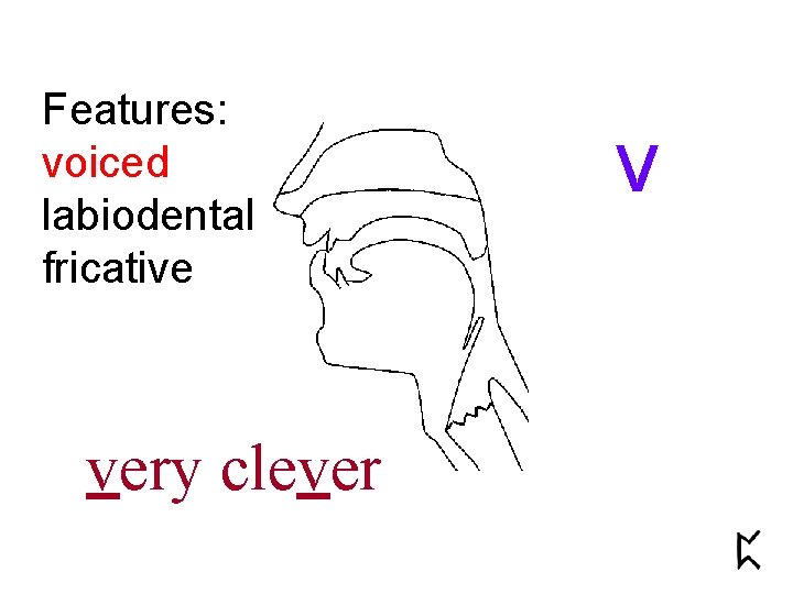 Features: voiced labiodental fricative very clever v 