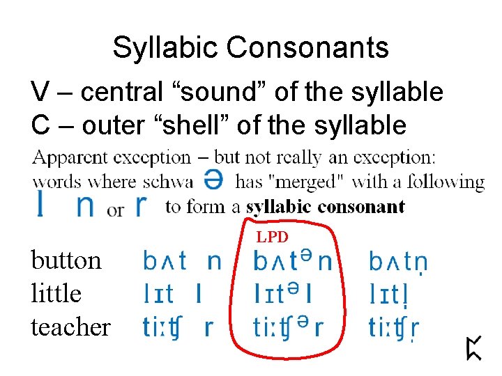 Syllabic Consonants V – central “sound” of the syllable C – outer “shell” of