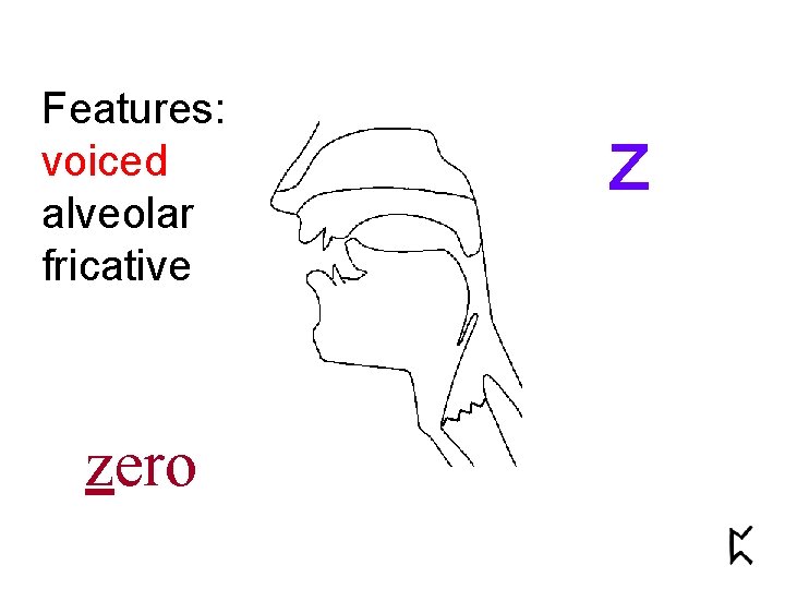 Features: voiced alveolar fricative zero z 