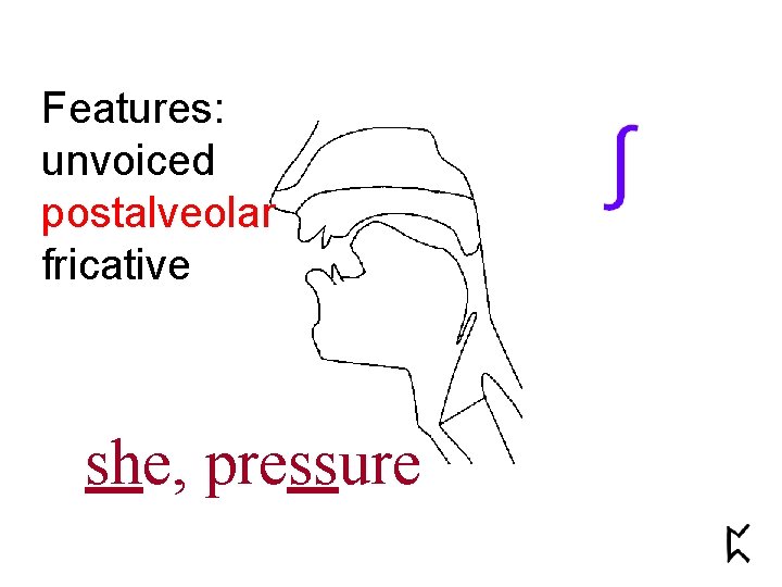 Features: unvoiced postalveolar fricative she, pressure 