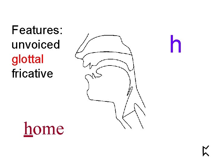 Features: unvoiced glottal fricative home h 