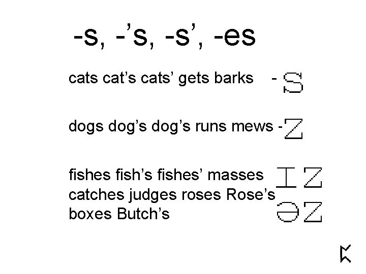 -s, -’s, -s’, -es cat’s cats’ gets barks - dogs dog’s runs mews fishes