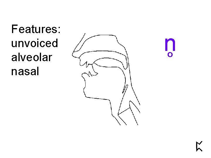 Features: unvoiced alveolar nasal n o 