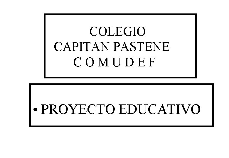 COLEGIO CAPITAN PASTENE COMUDEF • PROYECTO EDUCATIVO 