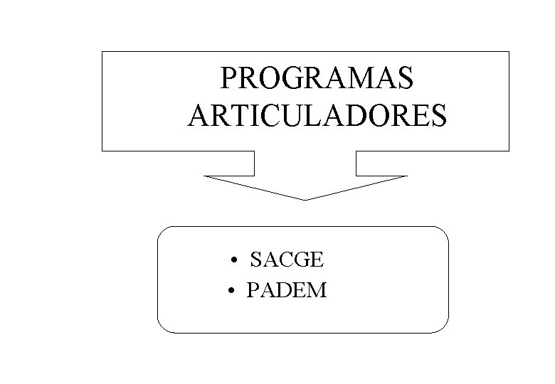 PROGRAMAS ARTICULADORES • SACGE • PADEM 