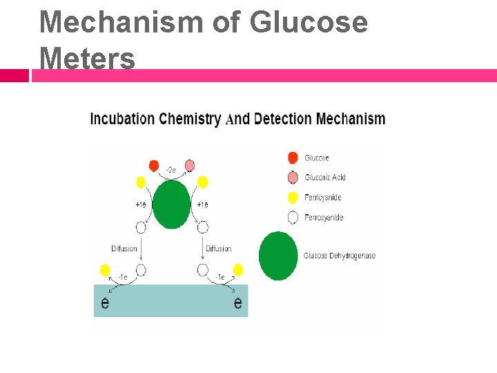 Mechanism of Glucose Meters 