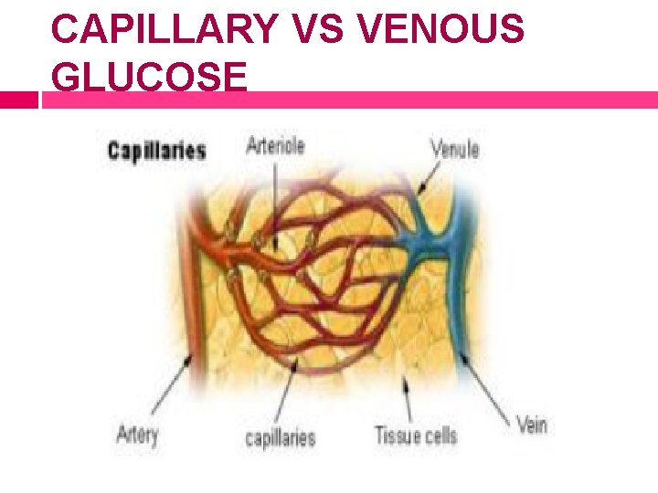CAPILLARY VS VENOUS GLUCOSE 