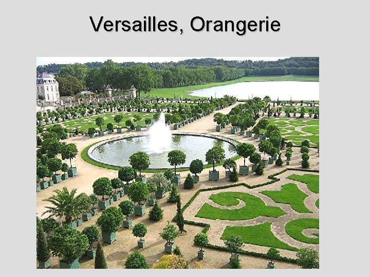 Versailles, Orangerie 