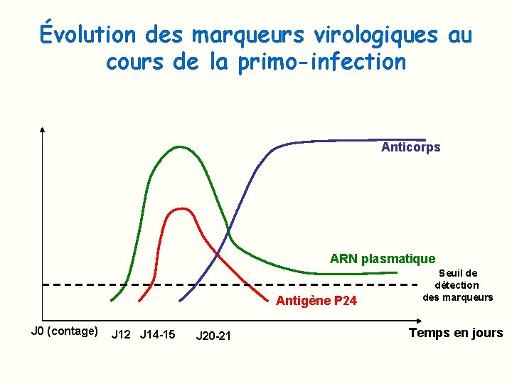 Évolution des marqueurs virologiques au cours de la primo-infection Anticorps ARN plasmatique Antigène P