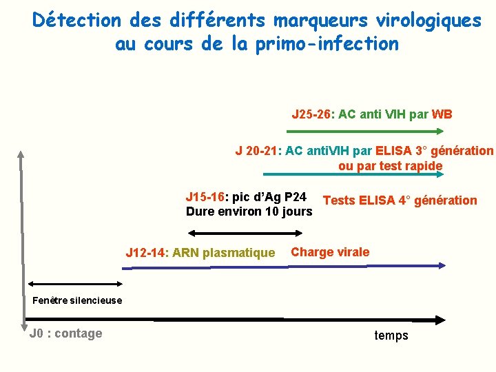 Détection des différents marqueurs virologiques au cours de la primo-infection J 25 -26: AC