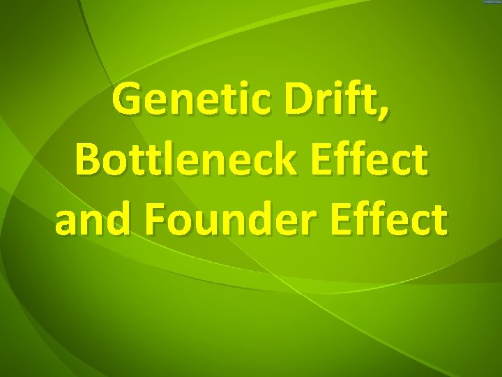 Genetic Drift, Bottleneck Effect and Founder Effect 