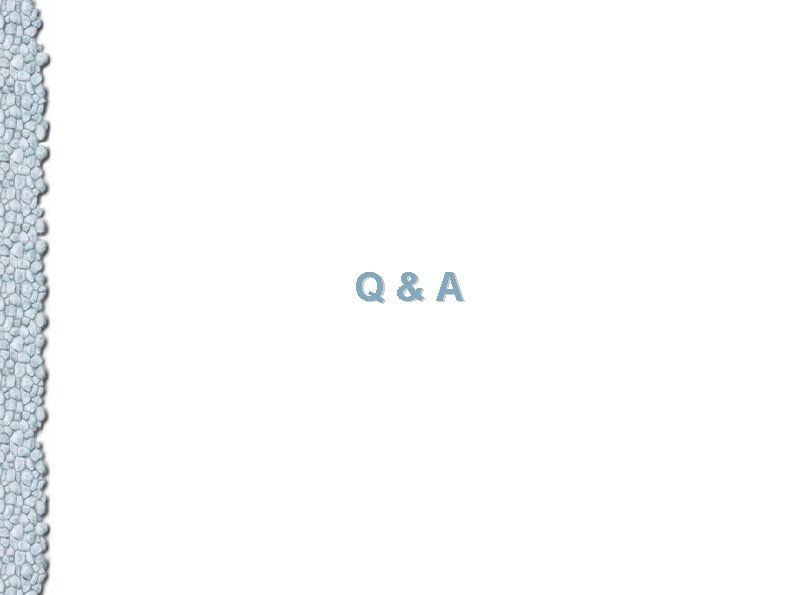Q&A 