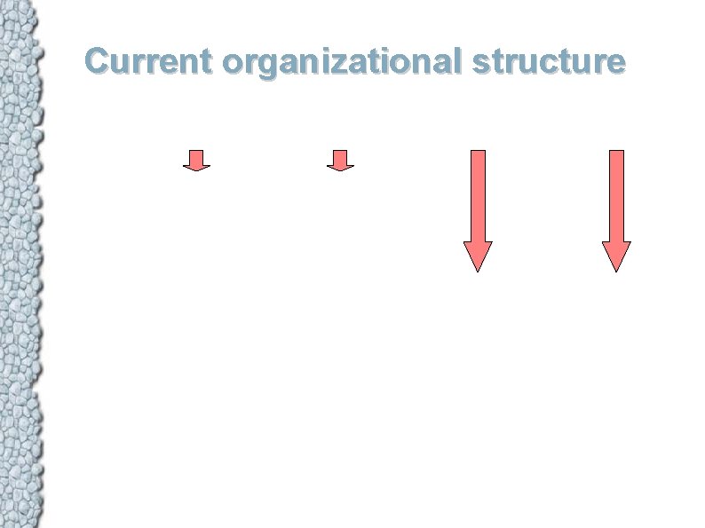 Current organizational structure 
