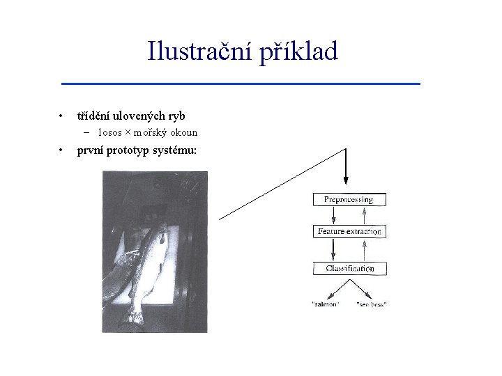 Ilustrační příklad • třídění ulovených ryb – losos × mořský okoun • první prototyp