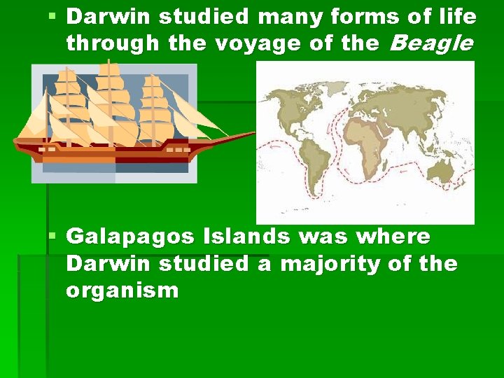 § Darwin studied many forms of life through the voyage of the Beagle §