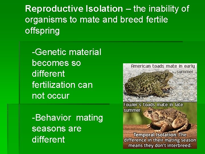 Reproductive Isolation – the inability of organisms to mate and breed fertile offspring -Genetic