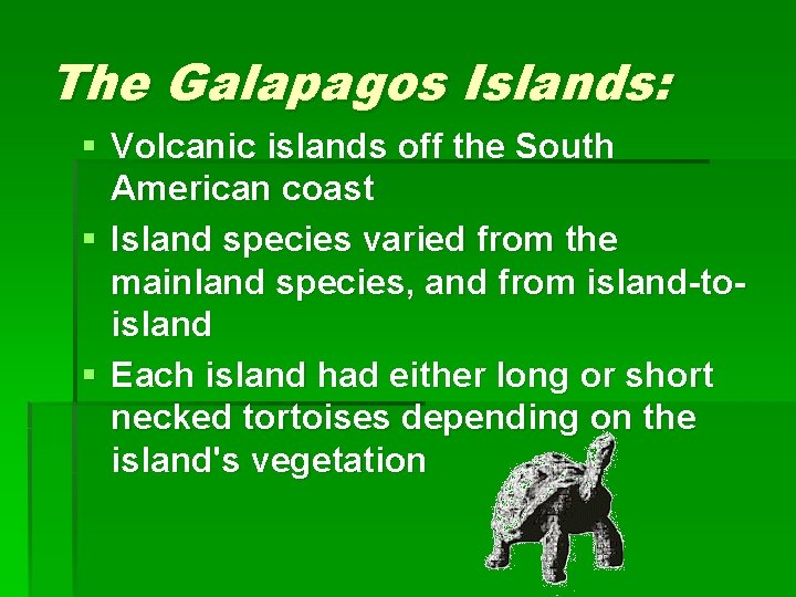 The Galapagos Islands: § Volcanic islands off the South American coast § Island species