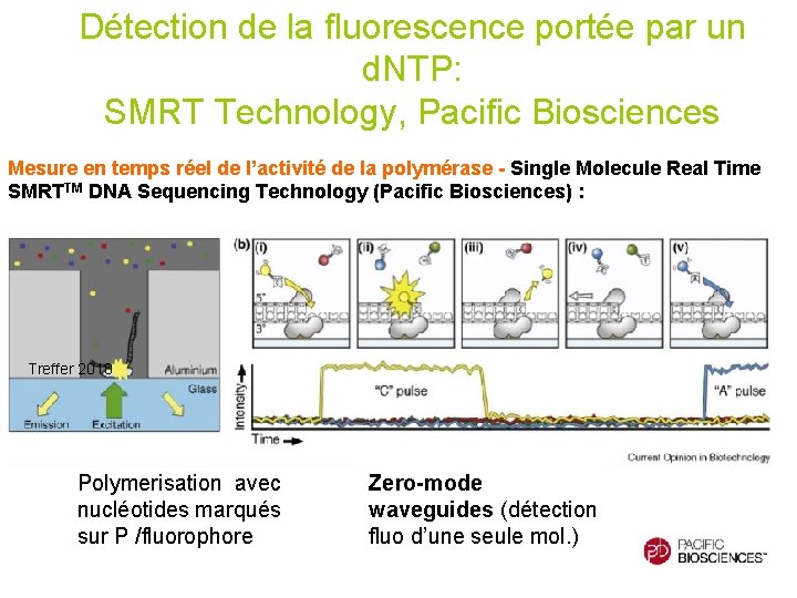 Détection de la fluorescence portée par un d. NTP: SMRT Technology, Pacific Biosciences Mesure