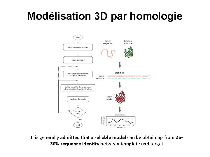 Modélisation 3 D par homologie It is generally admitted that a reliable model can