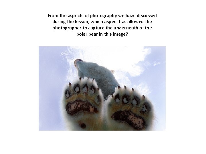 From the aspects of photography we have discussed during the lesson, which aspect has