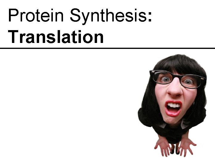 Protein Synthesis: Translation 