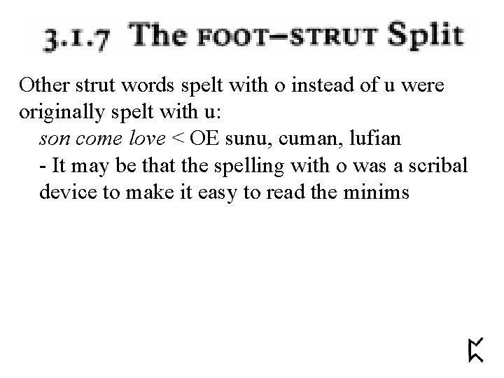 Other strut words spelt with o instead of u were originally spelt with u: