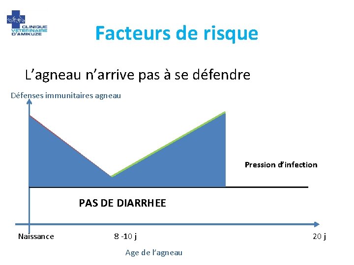 Facteurs de risque L’agneau n’arrive pas à se défendre Défenses immunitaires agneau Pression d’infection