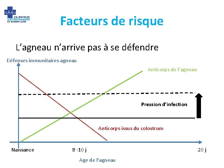 Facteurs de risque L’agneau n’arrive pas à se défendre Défenses immunitaires agneau Anticorps de