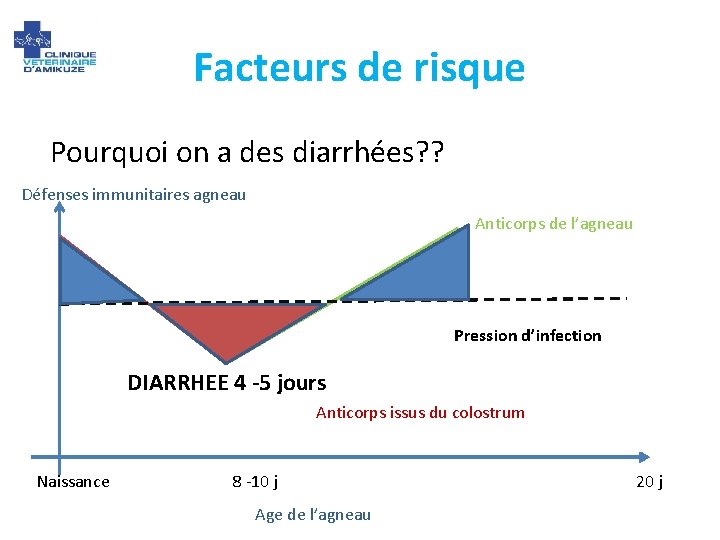 Facteurs de risque Pourquoi on a des diarrhées? ? Défenses immunitaires agneau Anticorps de