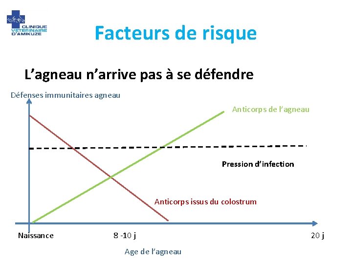 Facteurs de risque L’agneau n’arrive pas à se défendre Défenses immunitaires agneau Anticorps de