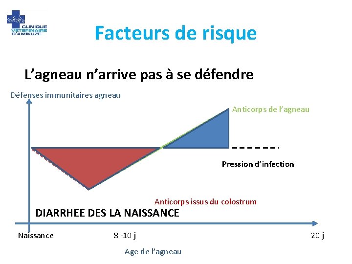 Facteurs de risque L’agneau n’arrive pas à se défendre Défenses immunitaires agneau Anticorps de