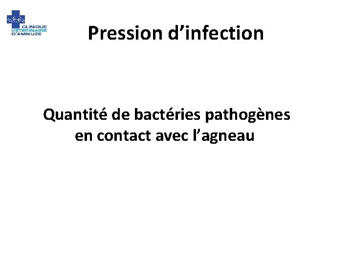 Pression d’infection Quantité de bactéries pathogènes en contact avec l’agneau 