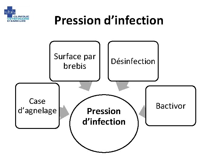 Pression d’infection Surface par brebis Case d’agnelage Désinfection Pression d’infection Bactivor 