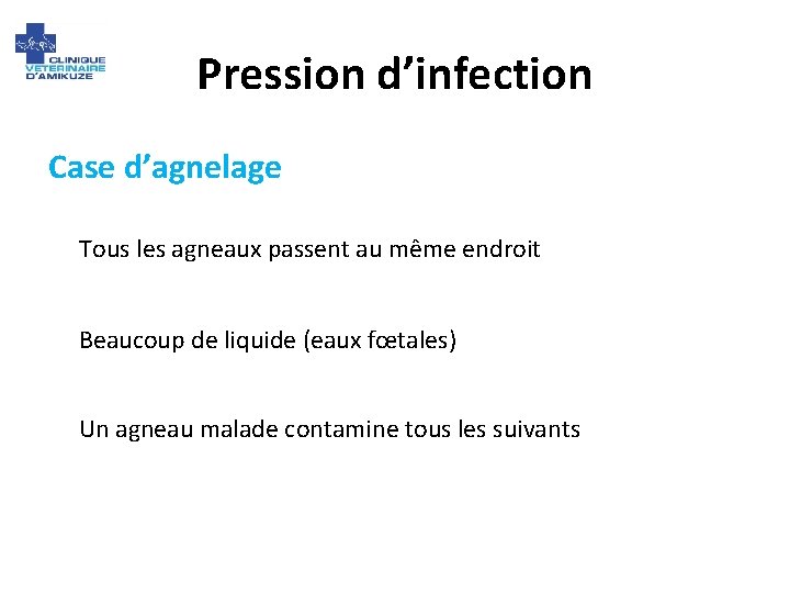 Pression d’infection Case d’agnelage Tous les agneaux passent au même endroit Beaucoup de liquide