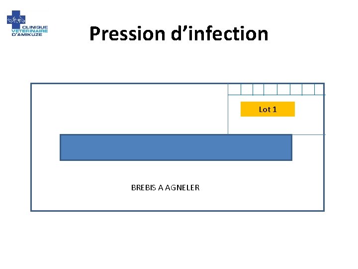 Pression d’infection Lot 1 BREBIS A AGNELER 