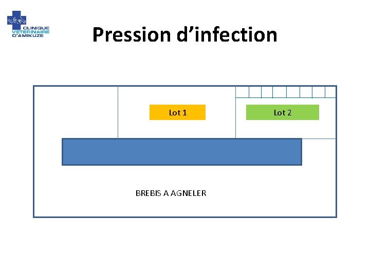 Pression d’infection Lot 1 BREBIS A AGNELER Lot 2 