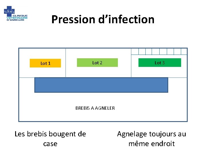 Pression d’infection Lot 2 Lot 1 Lot 3 BREBIS A AGNELER Les brebis bougent