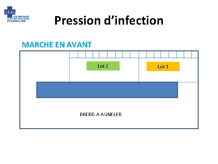 Pression d’infection MARCHE EN AVANT Lot 2 BREBIS A AGNELER Lot 1 