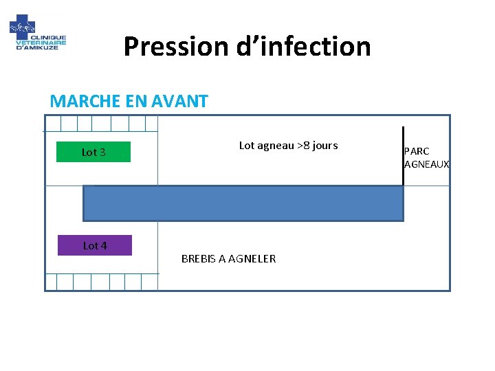 Pression d’infection MARCHE EN AVANT Lot 3 Lot 4 Lot agneau >8 jours BREBIS