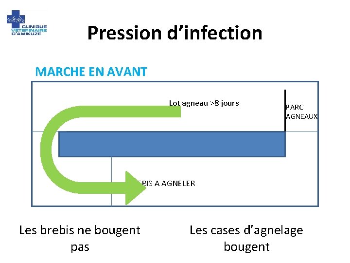 Pression d’infection MARCHE EN AVANT Lot agneau >8 jours PARC AGNEAUX BREBIS A AGNELER