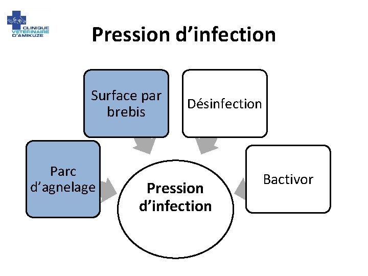 Pression d’infection Surface par brebis Parc d’agnelage Désinfection Pression d’infection Bactivor 