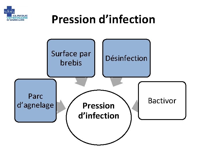 Pression d’infection Surface par brebis Parc d’agnelage Désinfection Pression d’infection Bactivor 