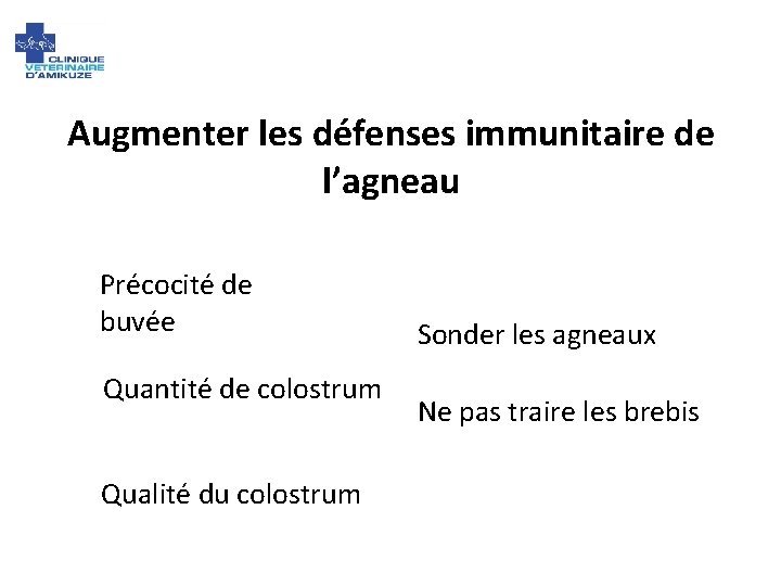 Augmenter les défenses immunitaire de l’agneau Précocité de buvée Quantité de colostrum Qualité du