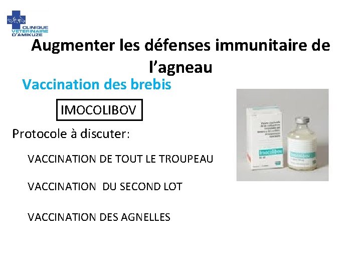 Augmenter les défenses immunitaire de l’agneau Vaccination des brebis IMOCOLIBOV Protocole à discuter: VACCINATION