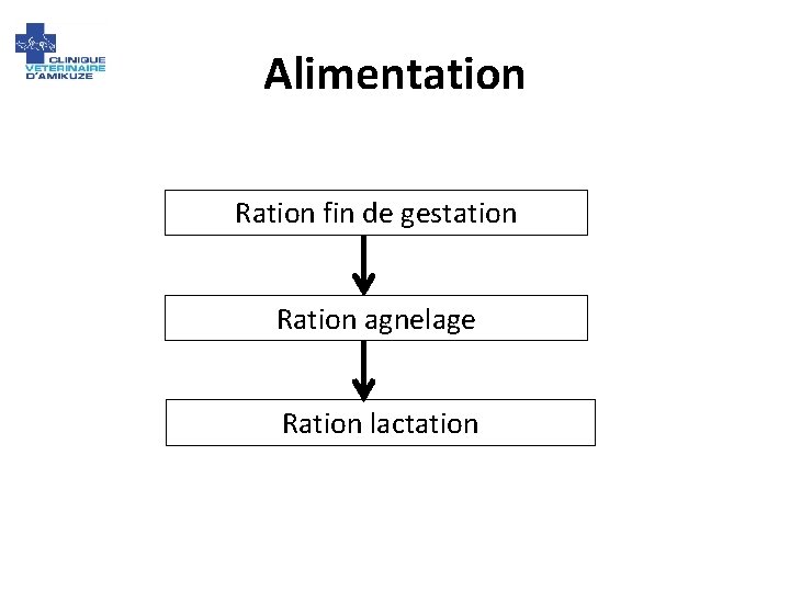 Alimentation Ration fin de gestation Ration agnelage Ration lactation 
