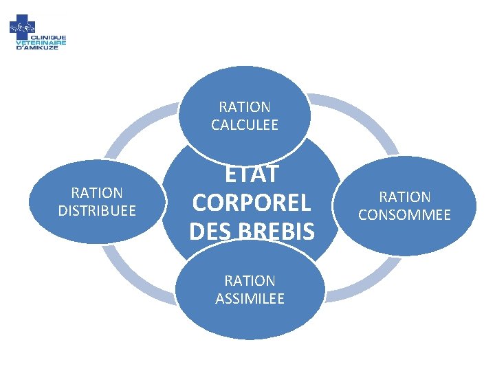 RATION CALCULEE RATION DISTRIBUEE ETAT CORPOREL DES BREBIS RATION ASSIMILEE RATION CONSOMMEE 