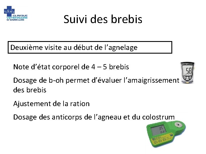 Suivi des brebis Deuxième visite au début de l’agnelage Note d’état corporel de 4