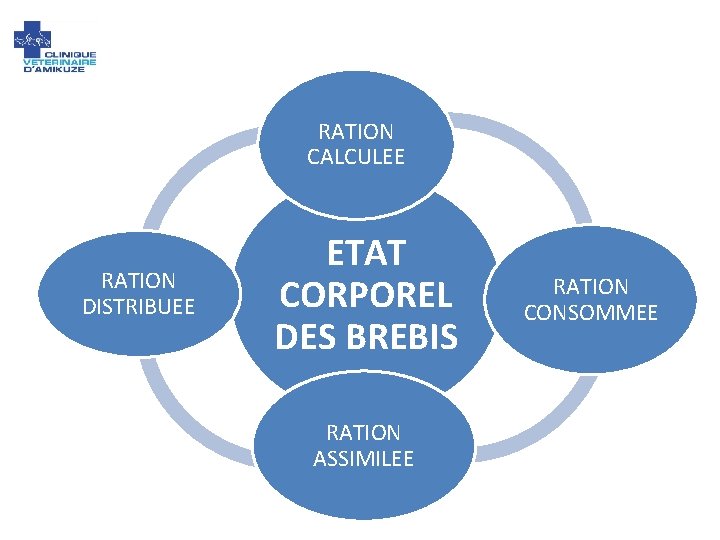 RATION CALCULEE RATION DISTRIBUEE ETAT CORPOREL DES BREBIS RATION ASSIMILEE RATION CONSOMMEE 