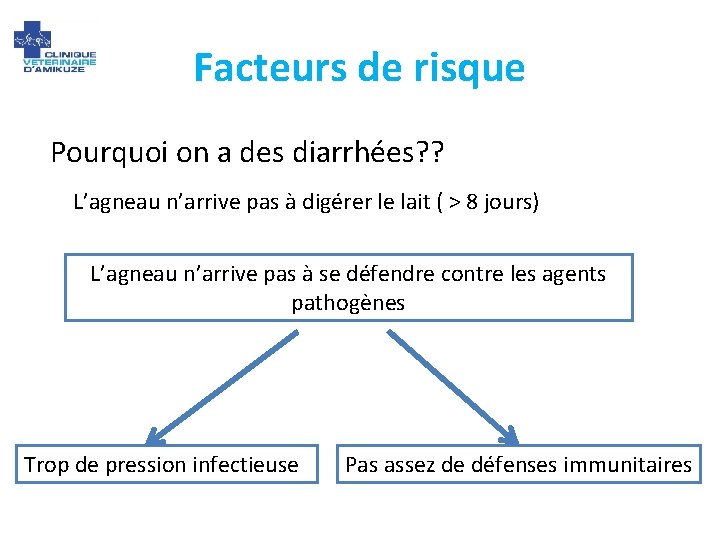 Facteurs de risque Pourquoi on a des diarrhées? ? L’agneau n’arrive pas à digérer